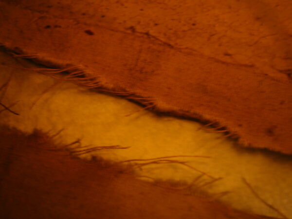 Frame Drum, Chippewa Tribe (Algonquin family), wood, skin, cord, Native American (Chippewa)