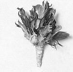 Kai-Ye-Ye, Feathers, cocoons (attacus californicus), pebbles, skin, Native American (Yuki or Pomo)