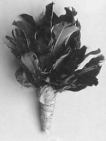 Kai-Ye-Ye, Feathers, cocoons (attacus californicus), pebbles, skin, Native American (Yuki or Pomo) 