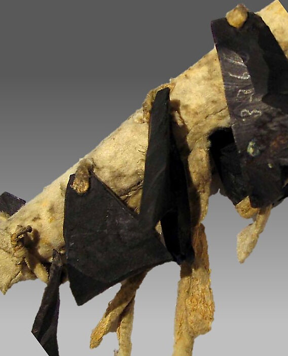 Rattle, Wood, horn, beads, leather, Native American (Chippewa - Ojibwe)