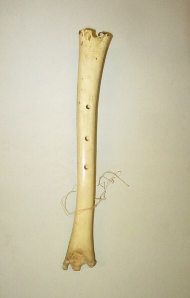 Wat-Sa-Pua (bone flute), bone, Native American (Wapisiana, probably) 
