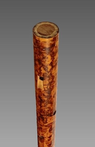 Algoja?, Cane, possibly Indian