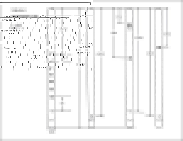 Algoja?, Cane, possibly Indian