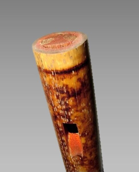 Algoja?, Cane, possibly Indian