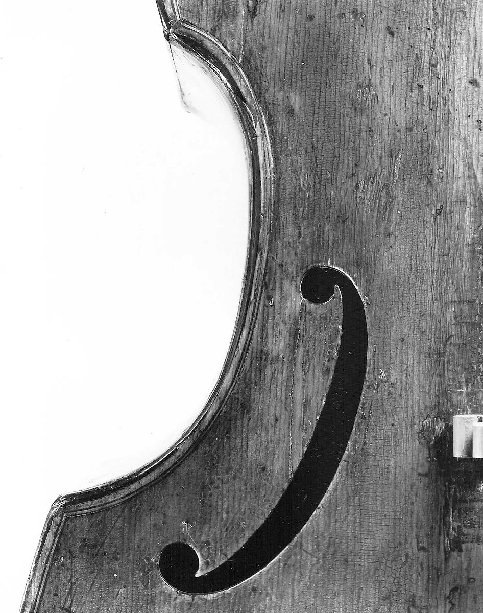 Small Division Viol, Wood, German