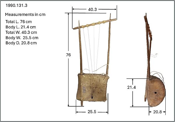Tom (lyre), Wood, hide, wire, rope, Shilluk (Colo)?