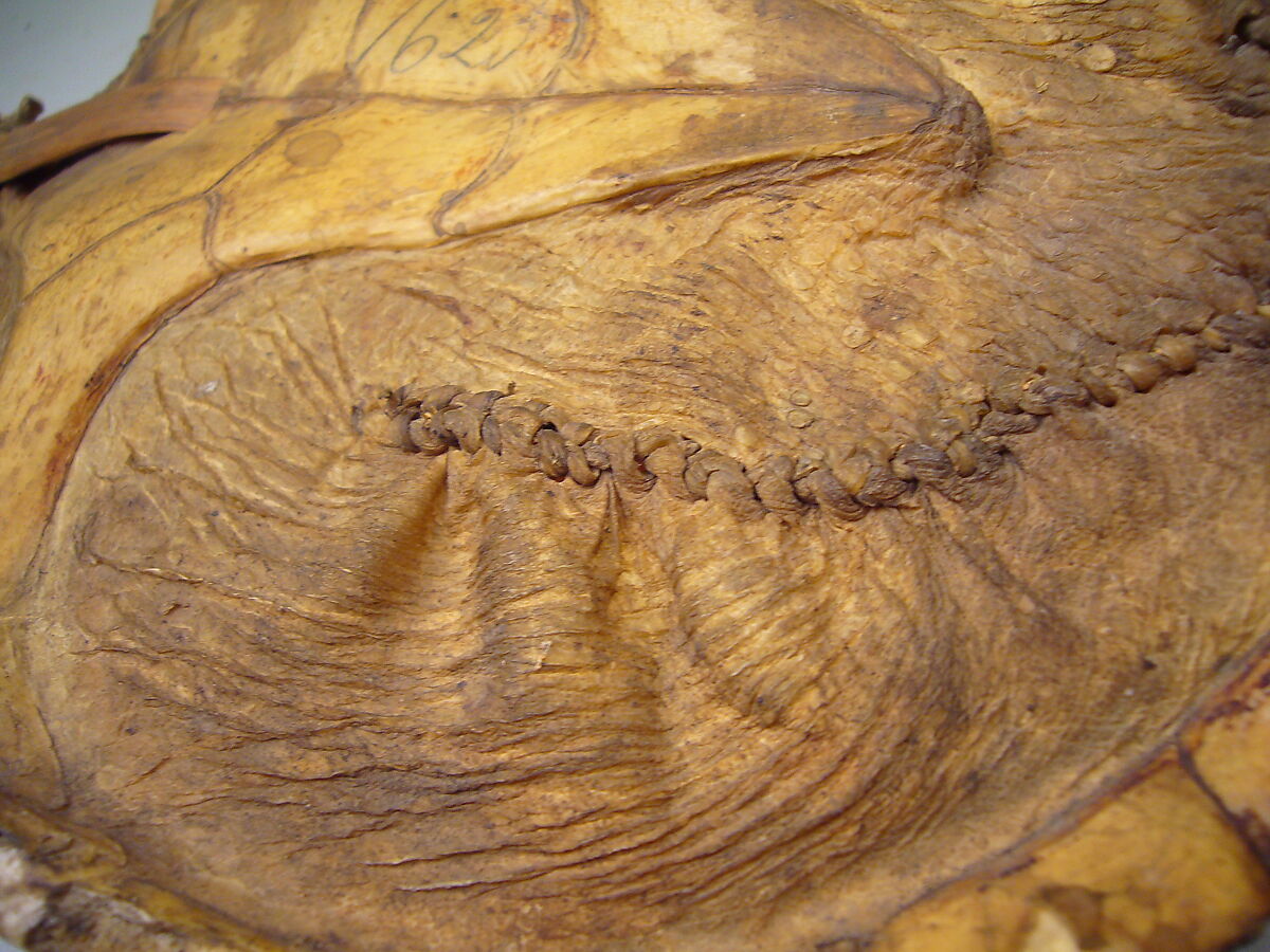 Gus-da-wa-sa (turtle rattle), Turtle shell, wood, leather, cherry pits?, Native American (Iroquois)