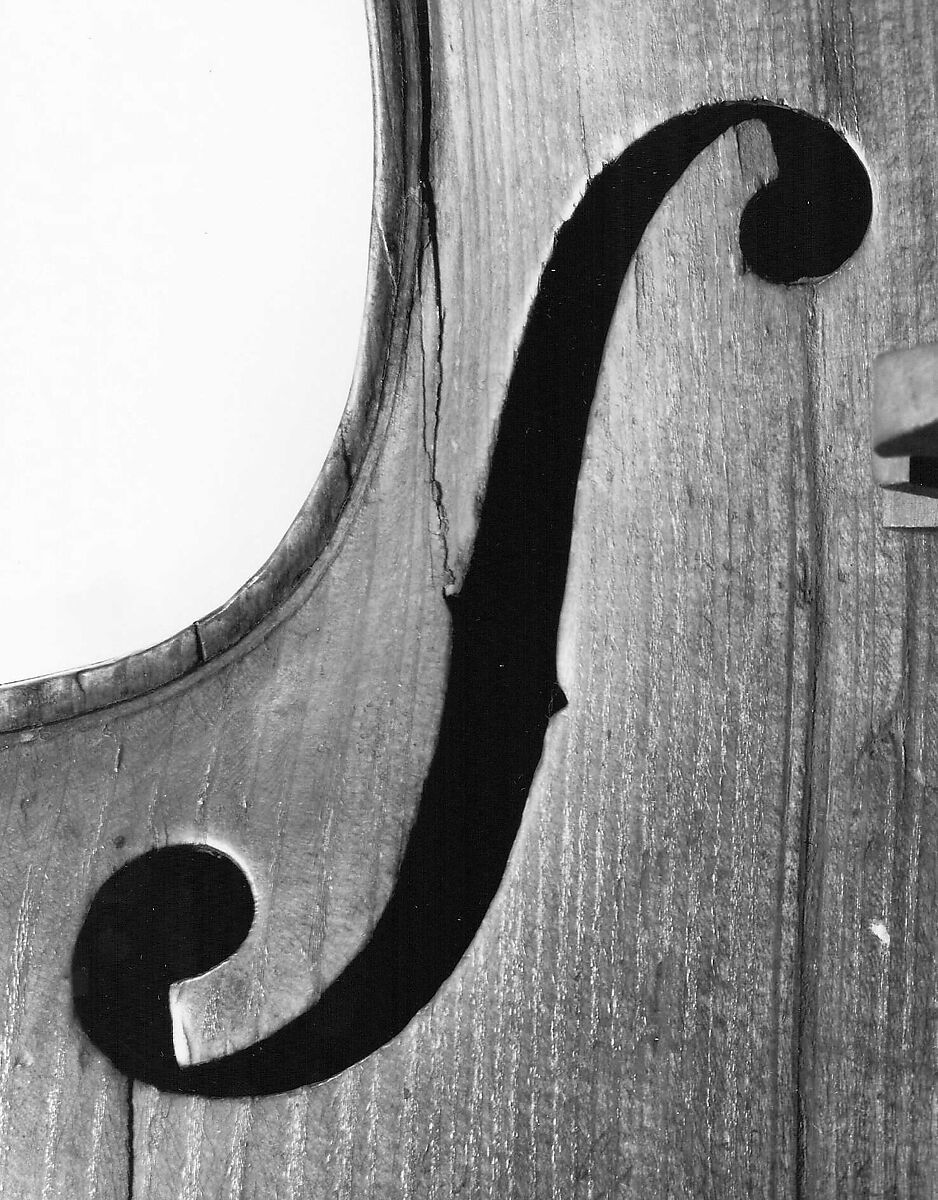 Viola Pomposa, Josef Klee (German, active Leitmertz, Bohemia 1856–1893), Wood, Bohemian