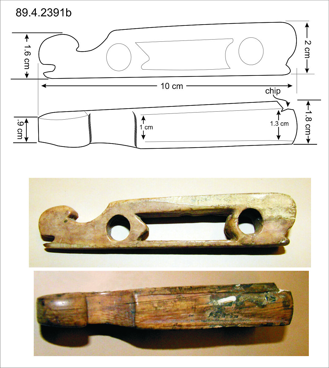 Viol Bridge and Tail-Piece, Ivory, Italian