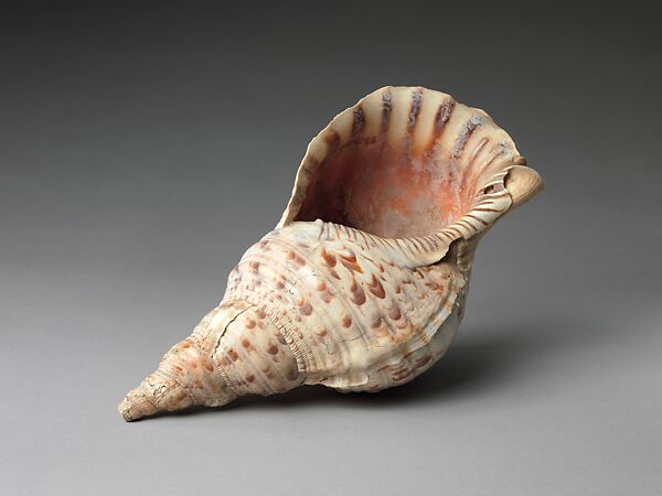 Tambuyuk (Conch Shell Trumpet), Shell (triton tritonis), Philippines (Negrito?)