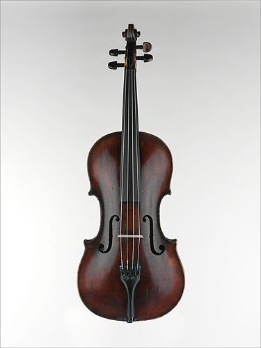 Viola