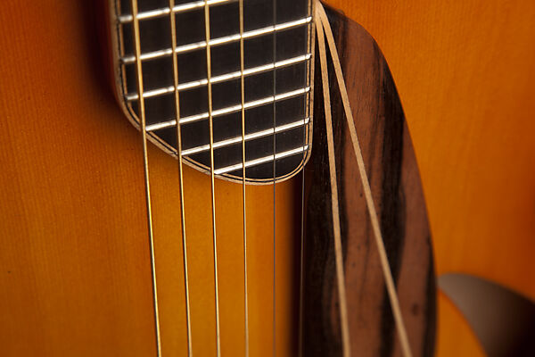 Archtop Guitar, James D'Aquisto (American, New York 1935–1995 Corona, California), Spruce, maple, ebony, American