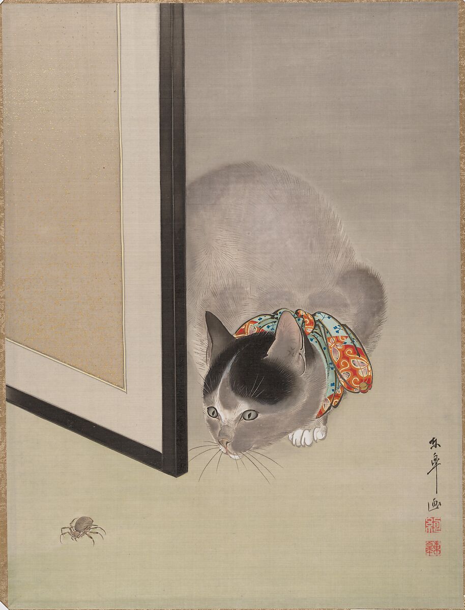 Cat Watching a Spider, Oide Tōkō (Japanese, 1841–1905), Album leaf; ink and color on silk, Japan 