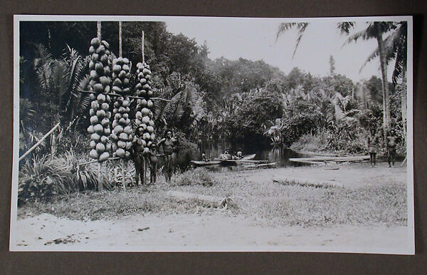 Men and Coconuts, Dr. Paul Baron de Rautenfeld (Swiss, 1865–1957), Gelatin silver print, Papua, New Guinea, made in Europe 