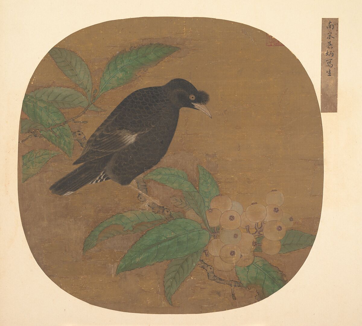 Minah Bird on a Loquat Branch, Unidentified artist, Fan mounted as an album leaf; Ink and color on silk, China 
