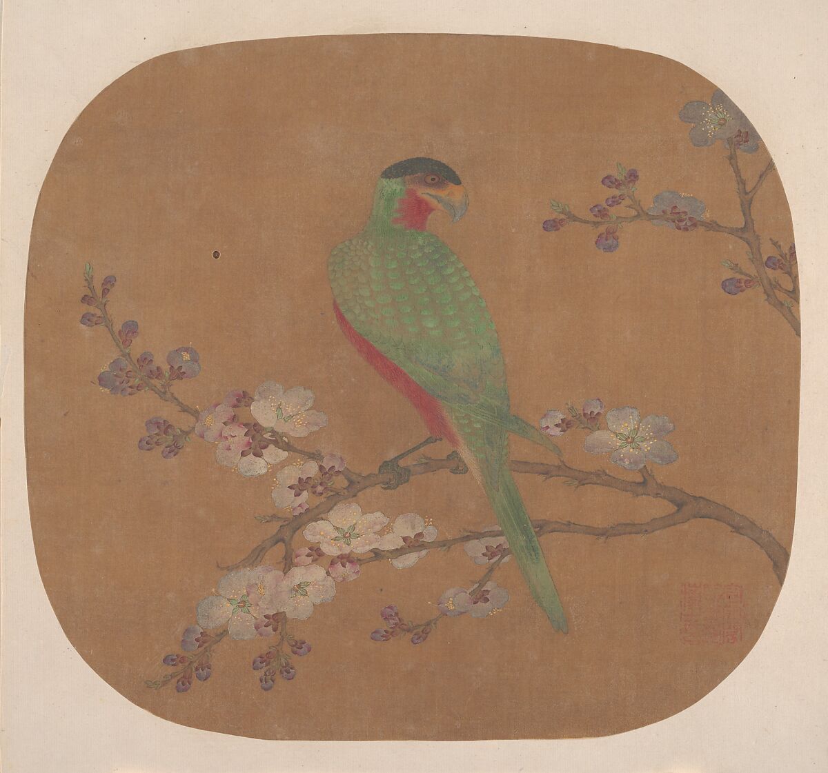 Parrot on Branch of Blossoming Tree, Unidentified artist, Fan mounted as an album leaf; ink and color on silk, China 