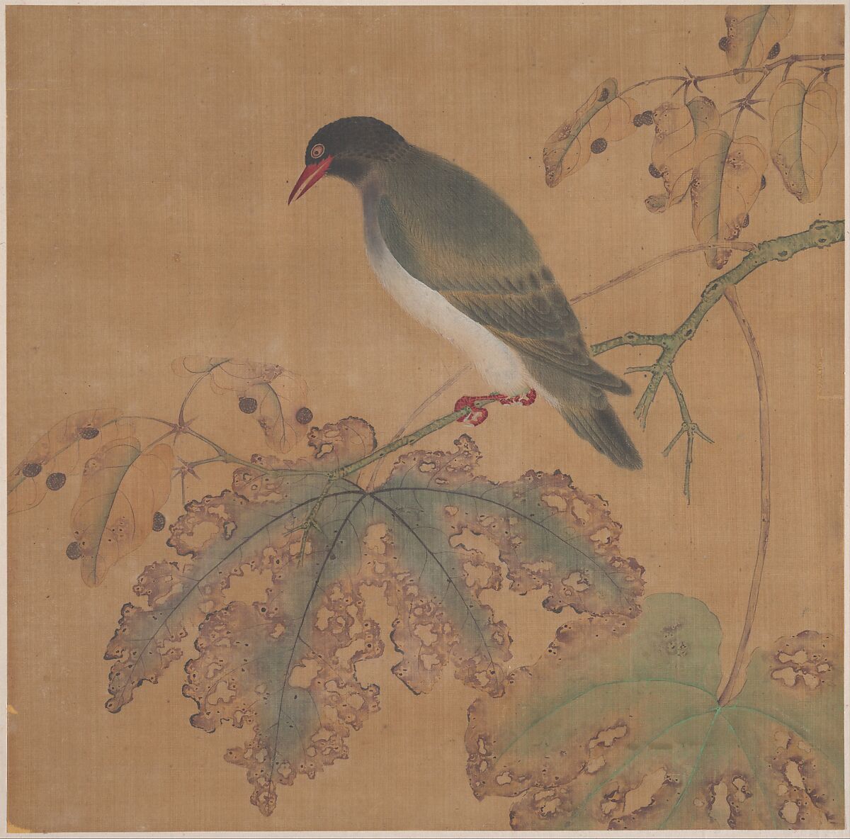 Bird on Branch, Unidentified artist, Fan mounted as an album leaf; ink and color on silk, China 