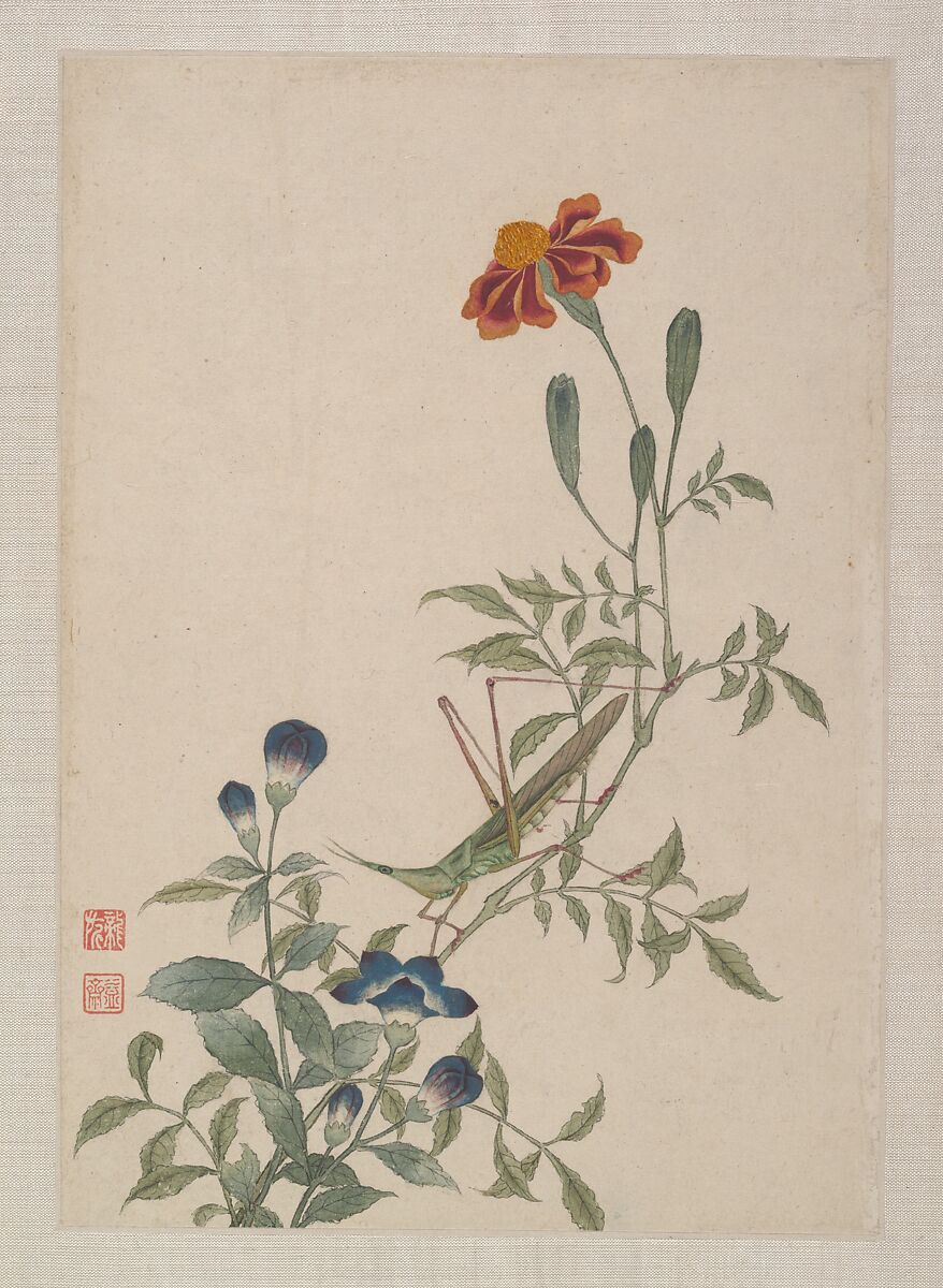 Birds, Insects and Flowers, Yi Zhai, Album of seven leaves; ink and color on paper, China