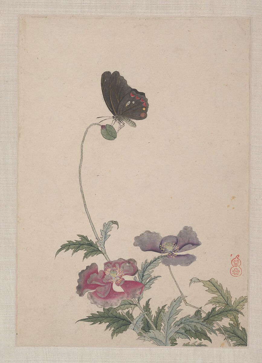 Birds, Insects and Flowers, Yi Zhai, Album of seven leaves; ink and color on paper, China