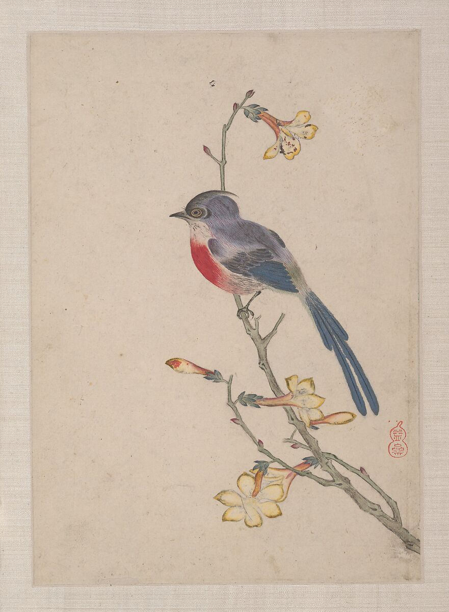 Birds, Insects and Flowers, Yi Zhai, Album of seven leaves; ink and color on paper, China
