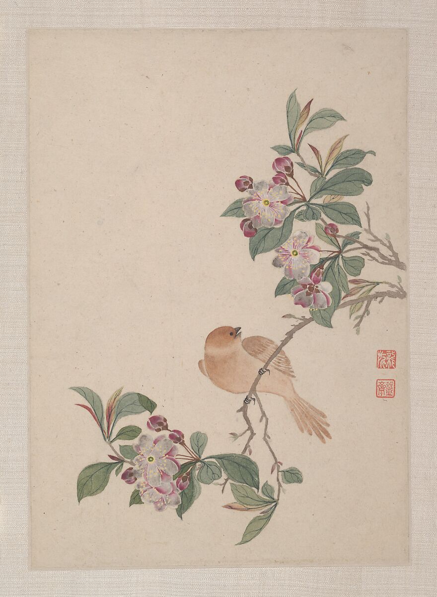 Birds, Insects and Flowers, Yi Zhai, Album of seven leaves; ink and color on paper, China