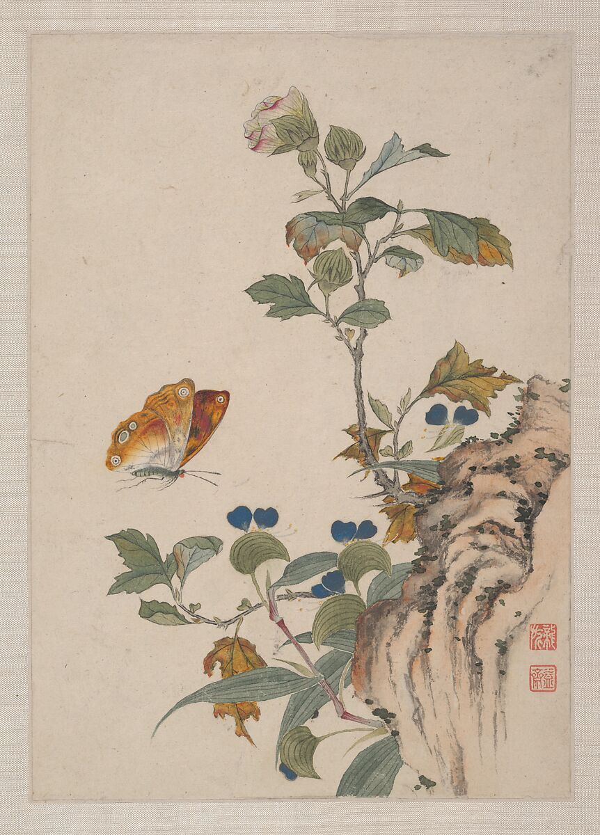 Birds, Insects and Flowers, Yi Zhai, Album of seven leaves; ink and color on paper, China