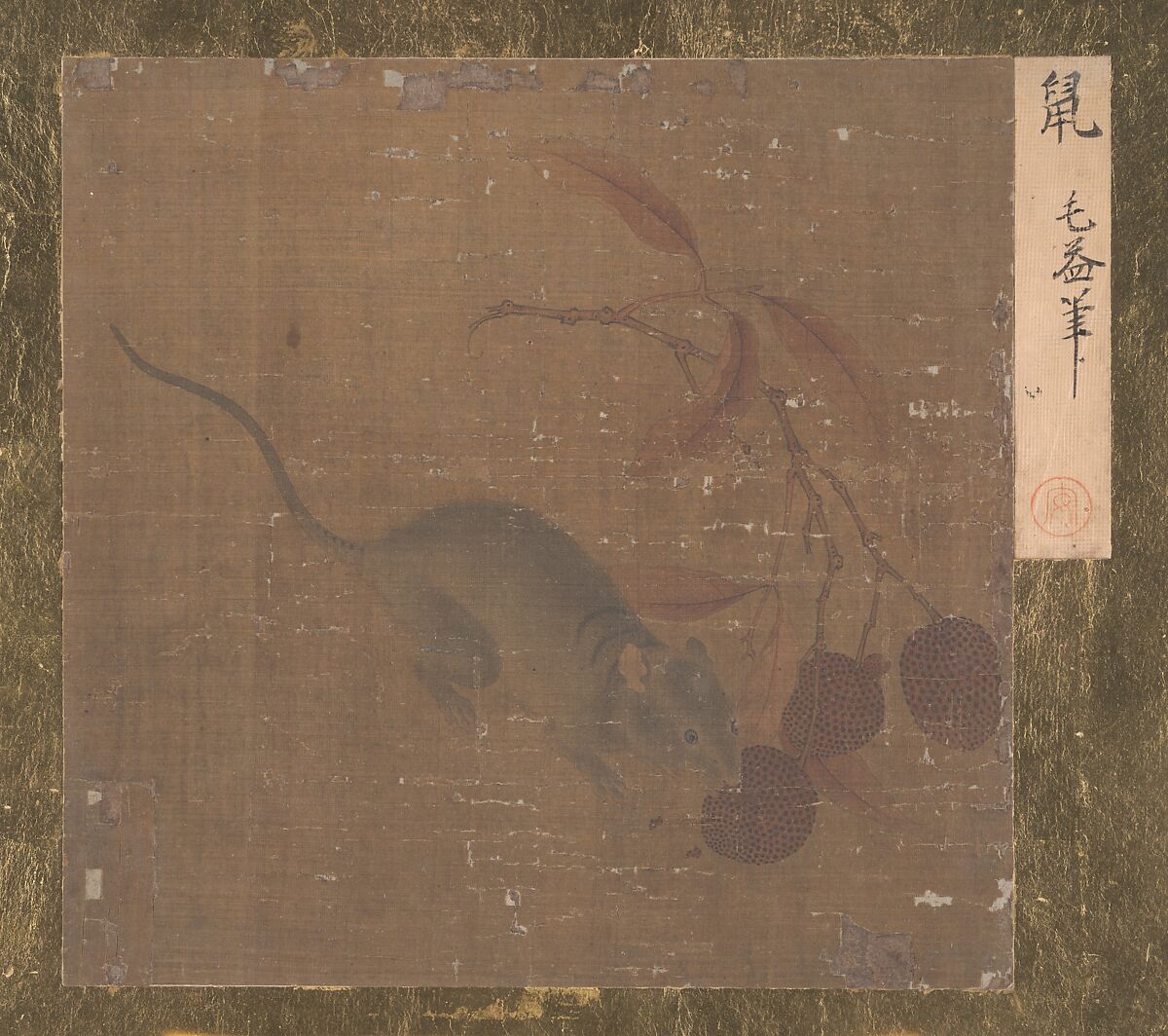 Mouse Eating Lichee Fruit, Unidentified artist, Album leaf; ink and color on silk, China 