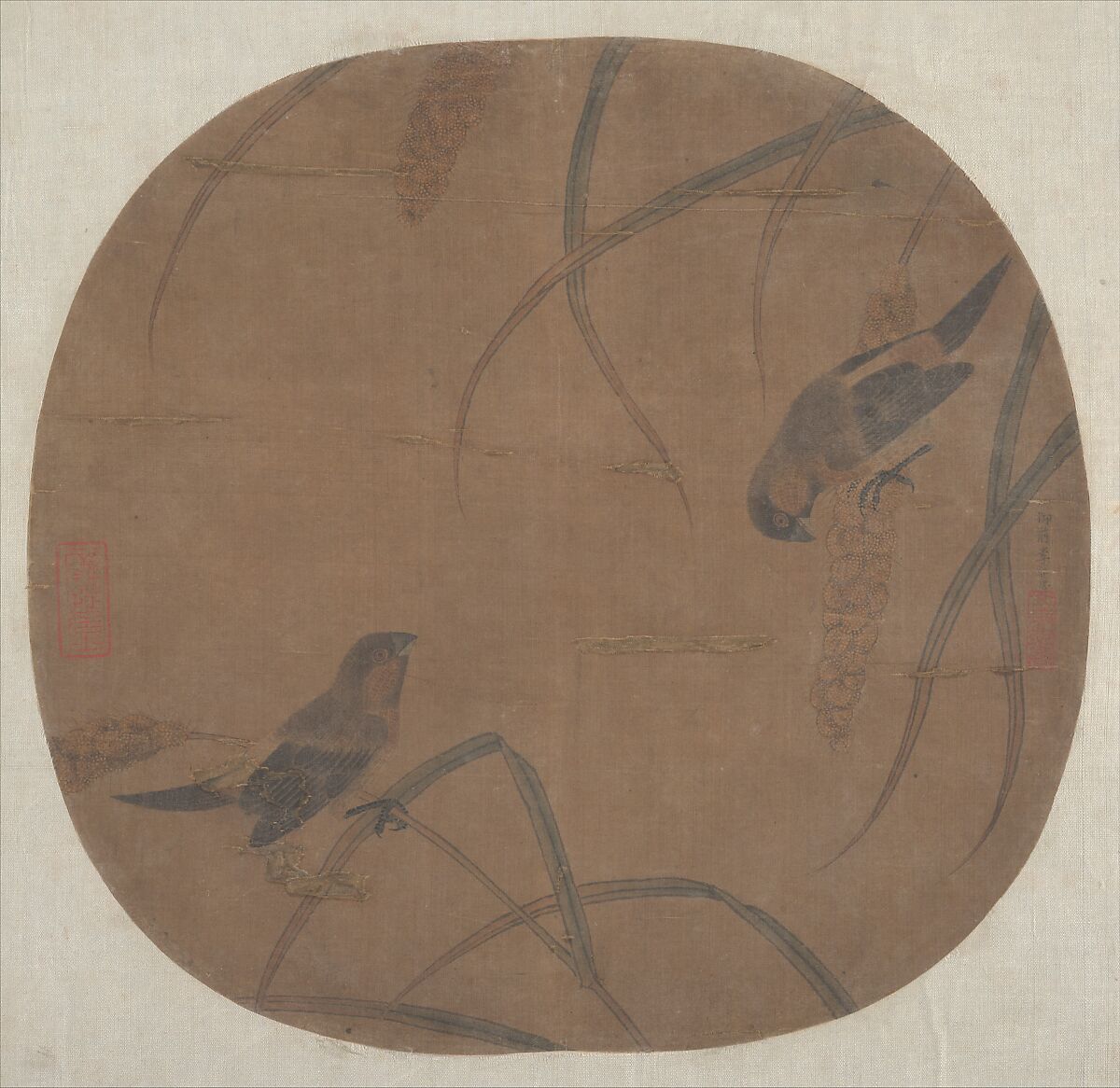 Sparrows and Millet, Unidentified artist, Fan mounted as an album leaf; ink and color on silk, China 