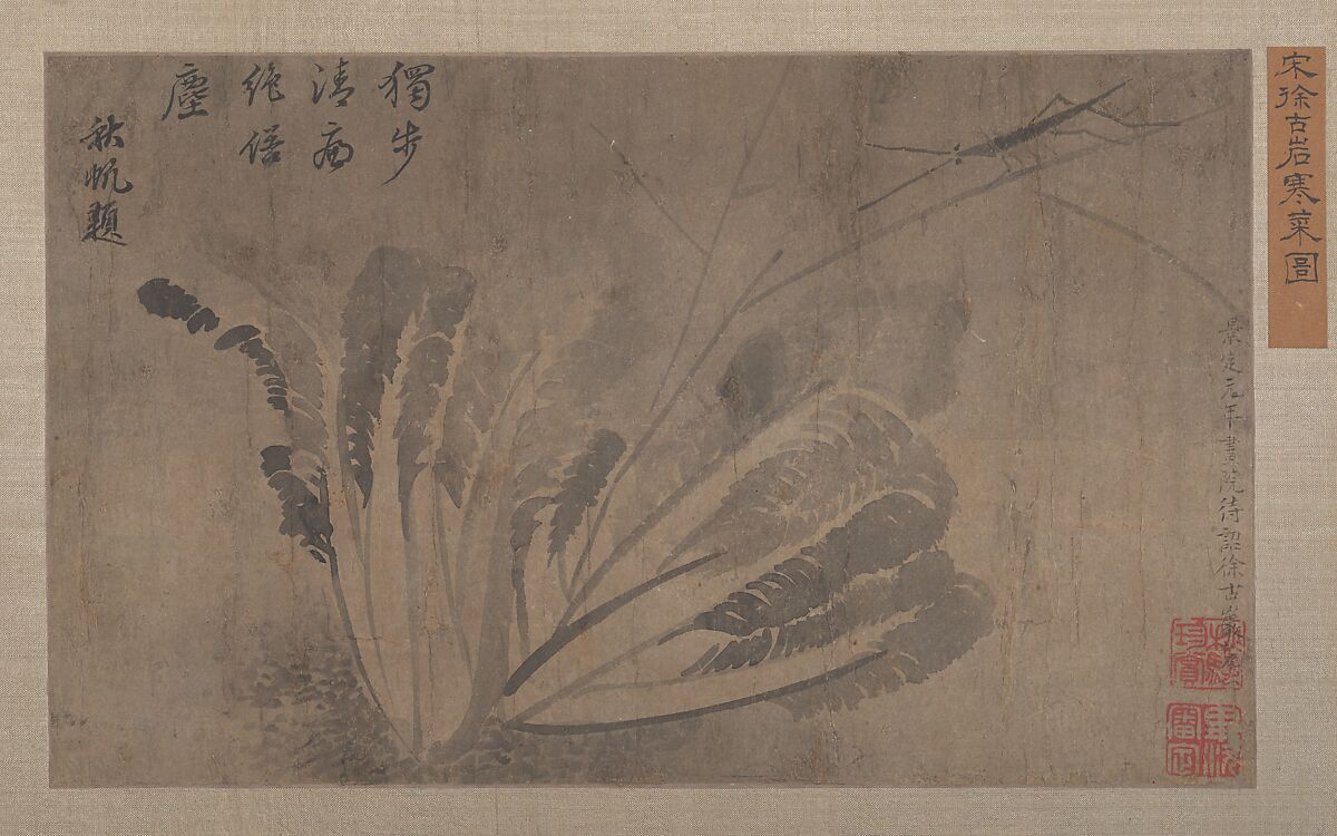 Cabbage and Insects, Attributed to Xü Daoguang (Chinese, 13th century), Album leaf; black and grey wash on paper, China 