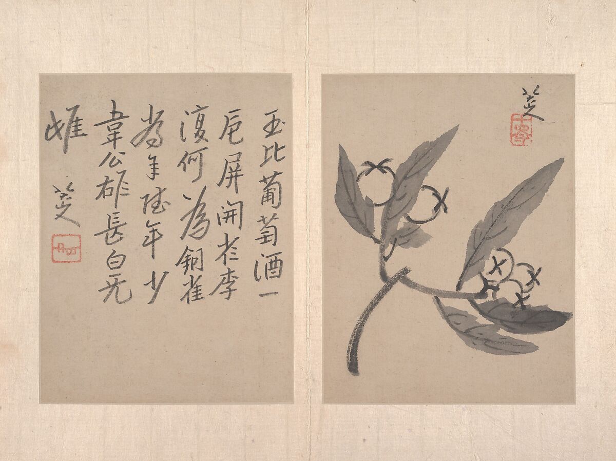 Album of miscellaneous paintings, Attributed to Bada Shanren (Zhu Da) (Chinese, 1626–1705), Album of twelve paintings; ink wash on paper, China