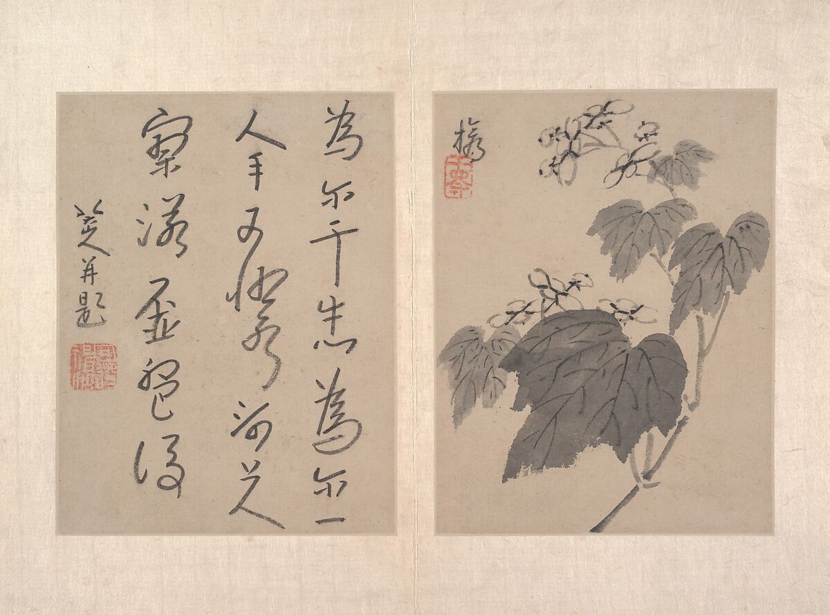 Album of miscellaneous paintings, Attributed to Bada Shanren (Zhu Da) (Chinese, 1626–1705), Album of twelve paintings; ink wash on paper, China