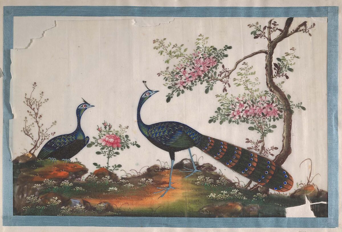 Album Containing Twelve Paintings of Birds, Unidentified artist, Album of twelve leaves; color on pith paper, China