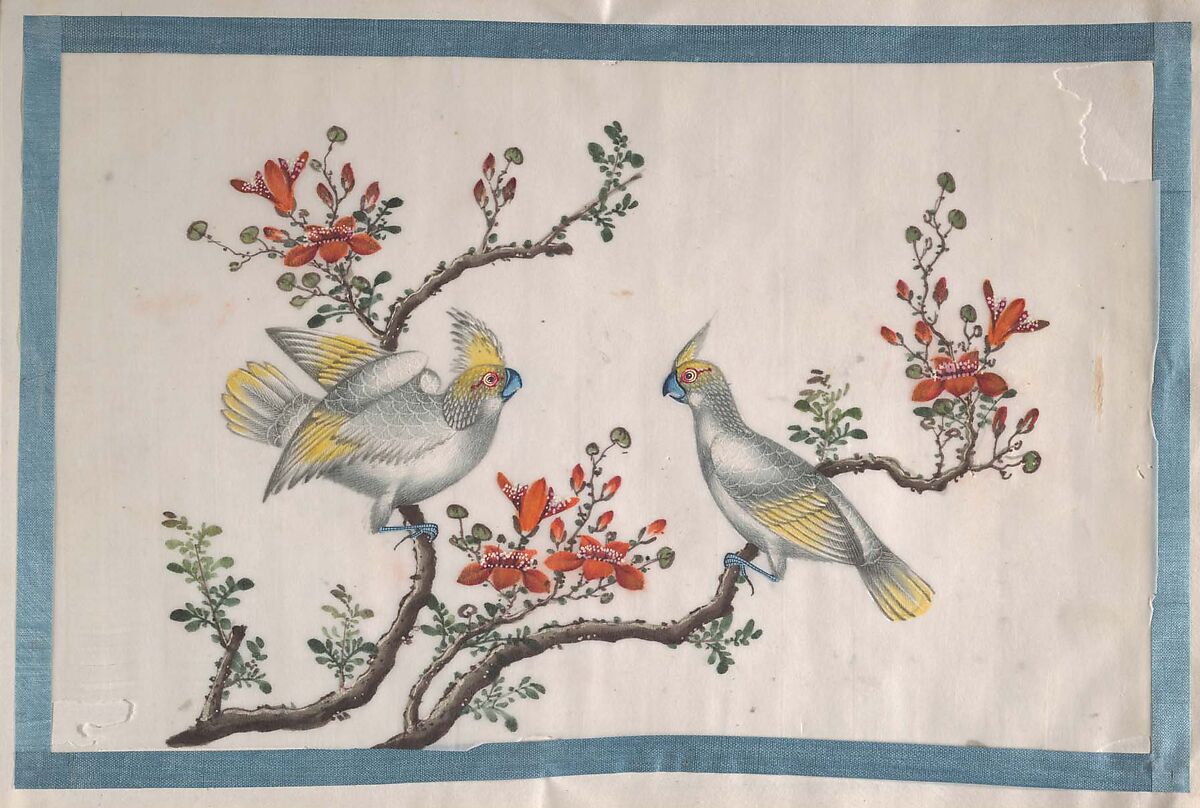 Album Containing Twelve Paintings of Birds, Unidentified artist, Album of twelve leaves; color on pith paper, China