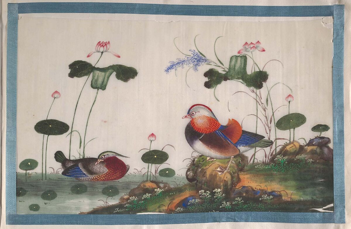Album Containing Twelve Paintings of Birds, Unidentified artist, Album of twelve leaves; color on pith paper, China
