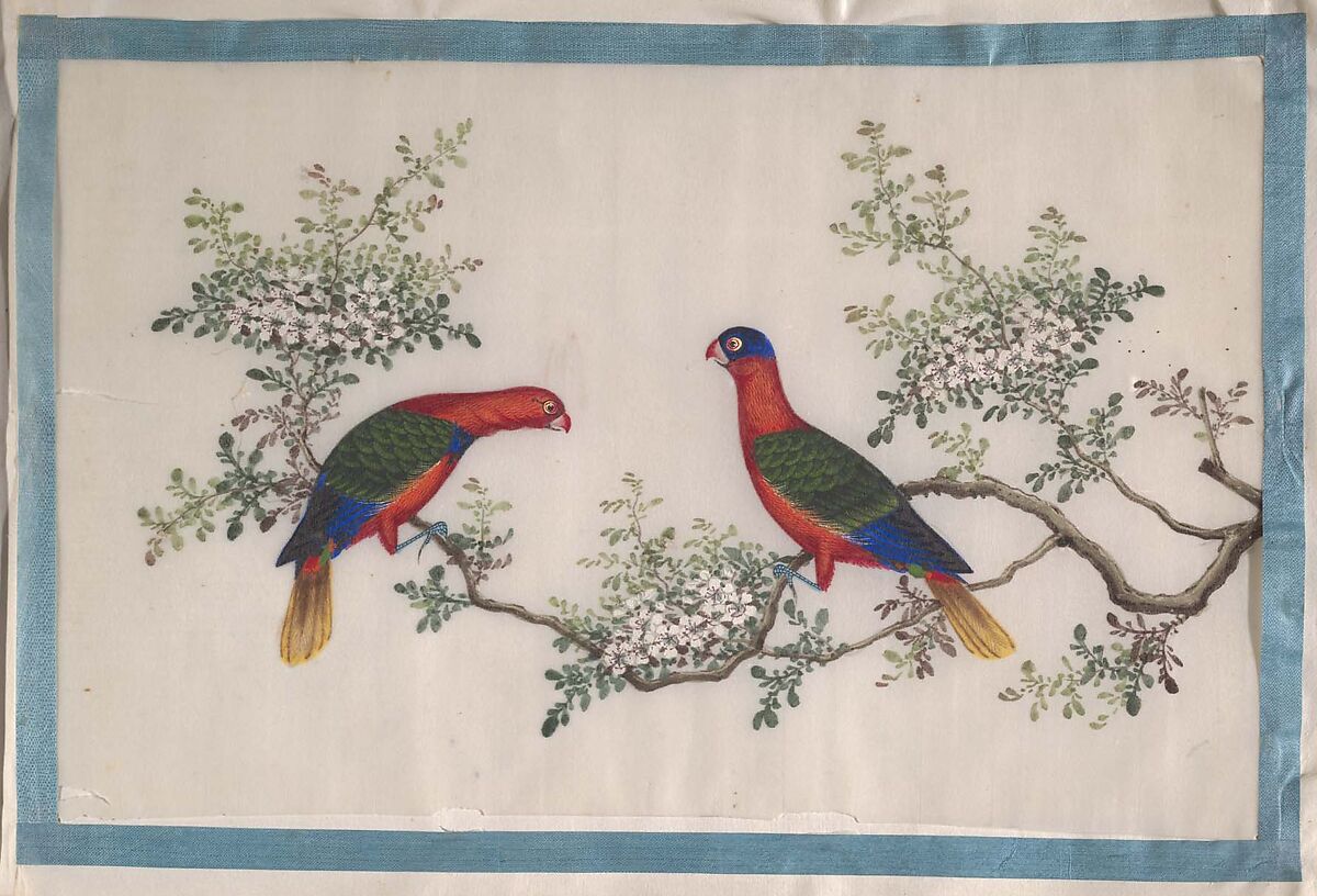 Album Containing Twelve Paintings of Birds, Unidentified artist, Album of twelve leaves; color on pith paper, China