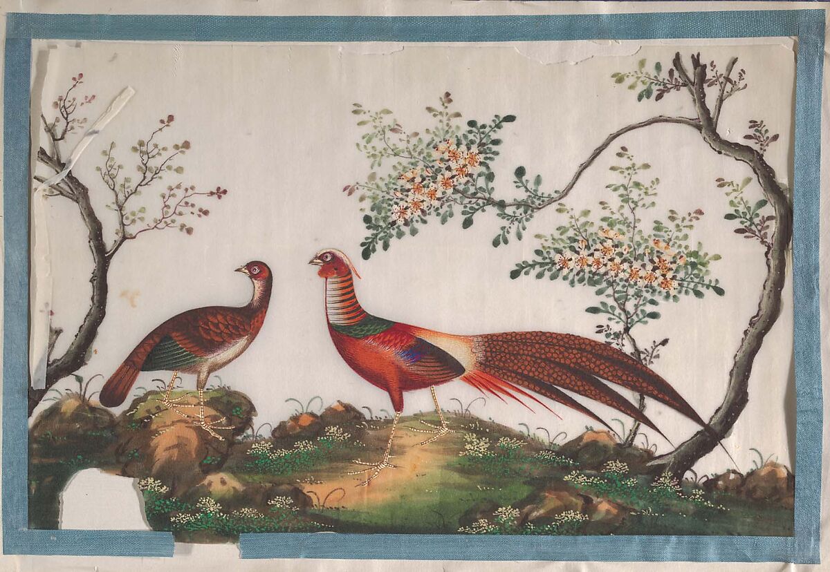 Album Containing Twelve Paintings of Birds, Unidentified artist, Album of twelve leaves; color on pith paper, China