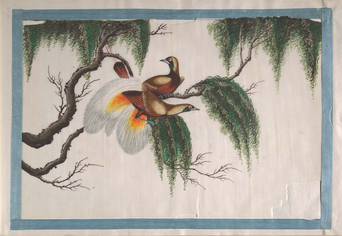 Album Containing Twelve Paintings of Birds, Unidentified artist, Album of twelve leaves; color on pith paper, China