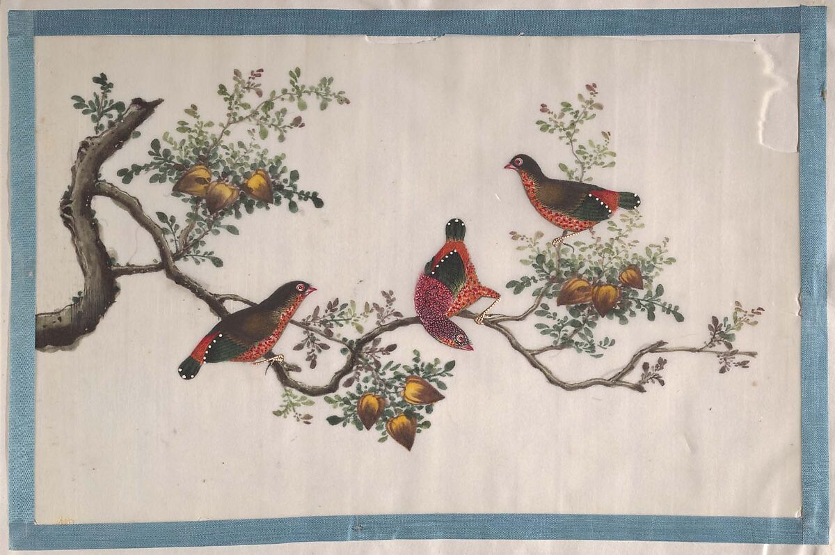 Album Containing Twelve Paintings of Birds, Unidentified artist, Album of twelve leaves; color on pith paper, China
