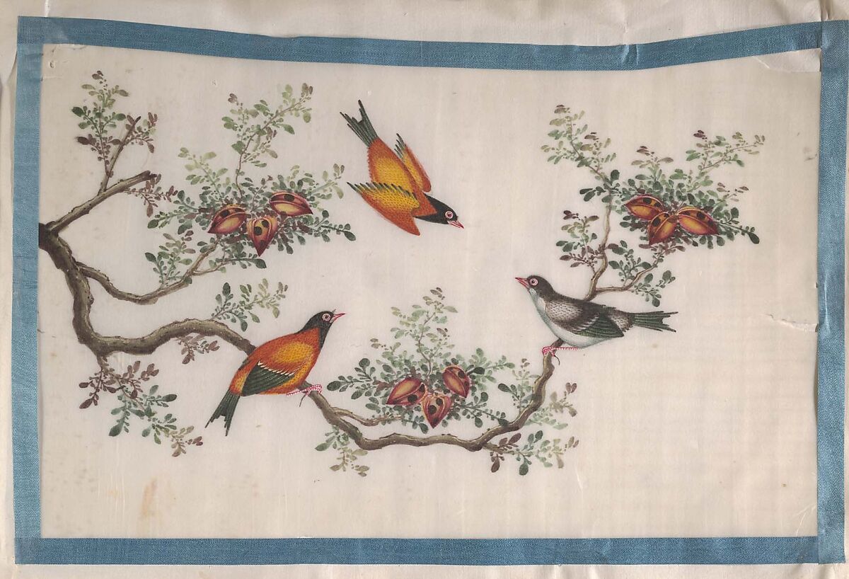 Album Containing Twelve Paintings of Birds, Unidentified artist, Album of twelve leaves; color on pith paper, China