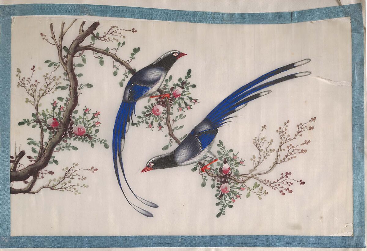 Album Containing Twelve Paintings of Birds, Unidentified artist, Album of twelve leaves; color on pith paper, China