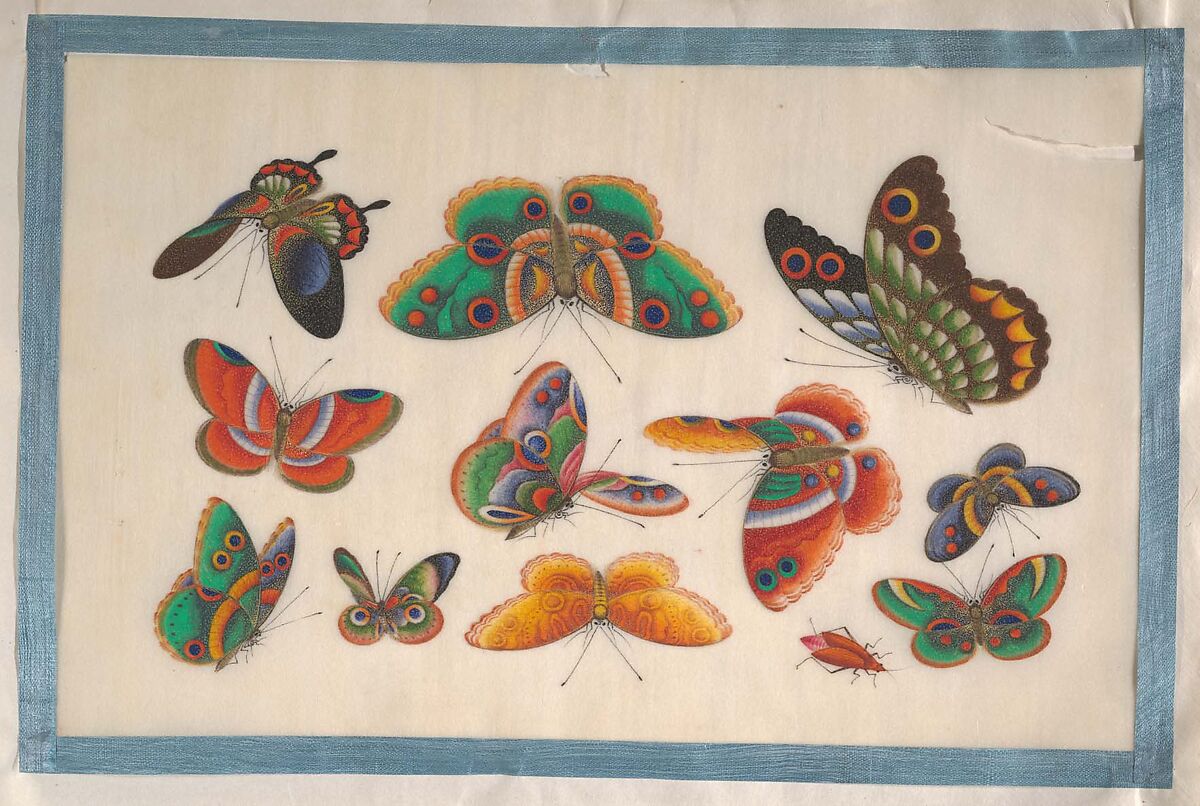 Album Containing Twelve Paintings of Insects, Unidentified artist, Album of twelve leaves; color on pith paper, China