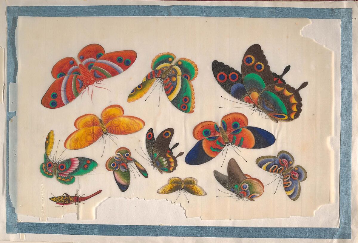 Album Containing Twelve Paintings of Insects, Unidentified artist, Album of twelve leaves; color on pith paper, China 