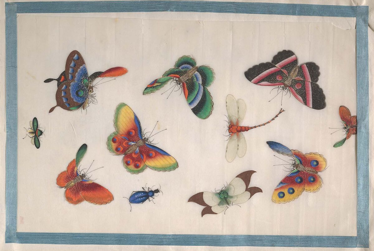 Album Containing Twelve Paintings of Insects, Unidentified artist, Album of twelve leaves; color on pith paper, China