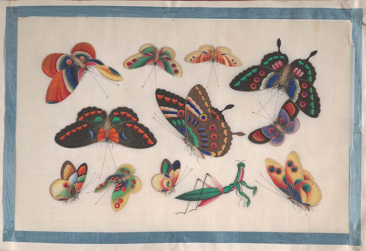 Album Containing Twelve Paintings of Insects, Unidentified artist, Album of twelve leaves; color on pith paper, China