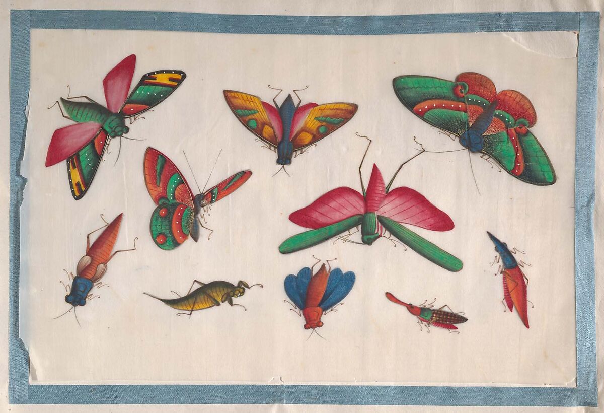 Album Containing Twelve Paintings of Insects, Unidentified artist, Album of twelve leaves; color on pith paper, China