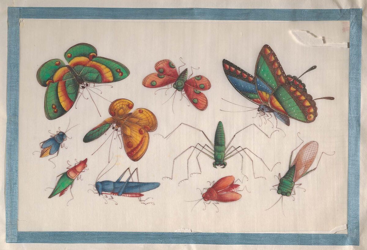Album Containing Twelve Paintings of Insects, Unidentified artist, Album of twelve leaves; color on pith paper, China