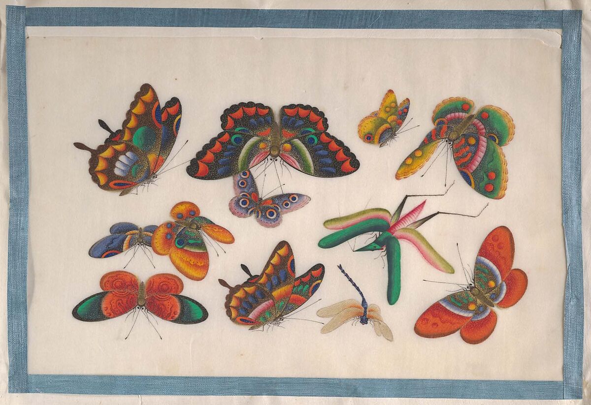 Album Containing Twelve Paintings of Insects, Unidentified artist, Album of twelve leaves; color on pith paper, China