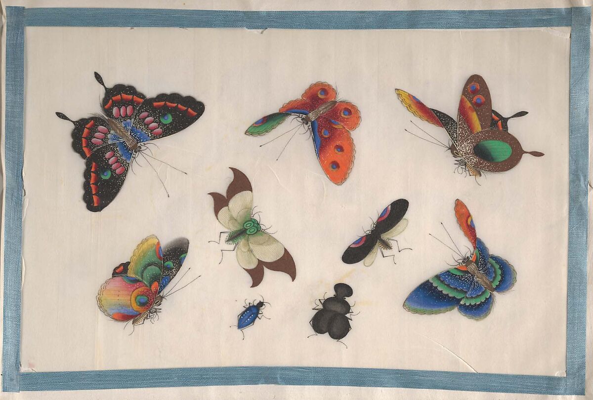 Album Containing Twelve Paintings of Insects, Unidentified artist, Album of twelve leaves; color on pith paper, China