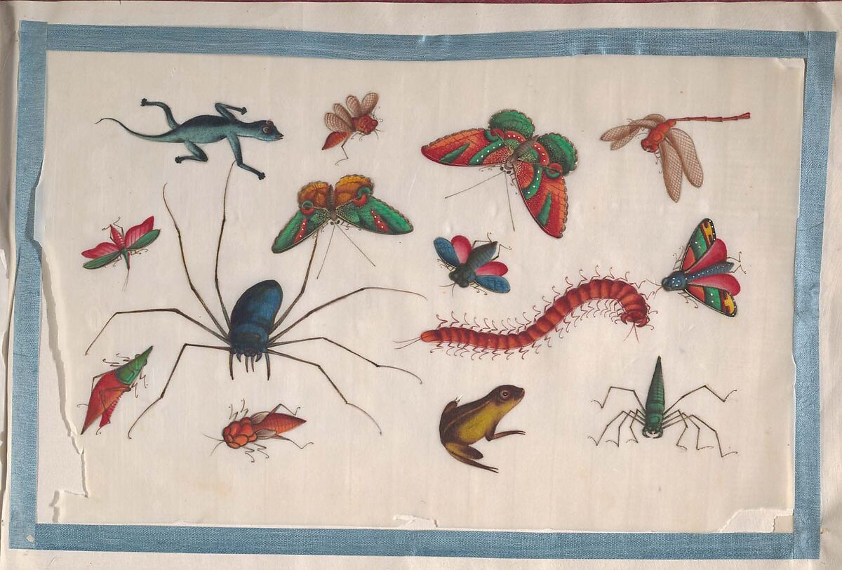 Album Containing Twelve Paintings of Insects, Unidentified artist, Album of twelve leaves; color on pith paper, China