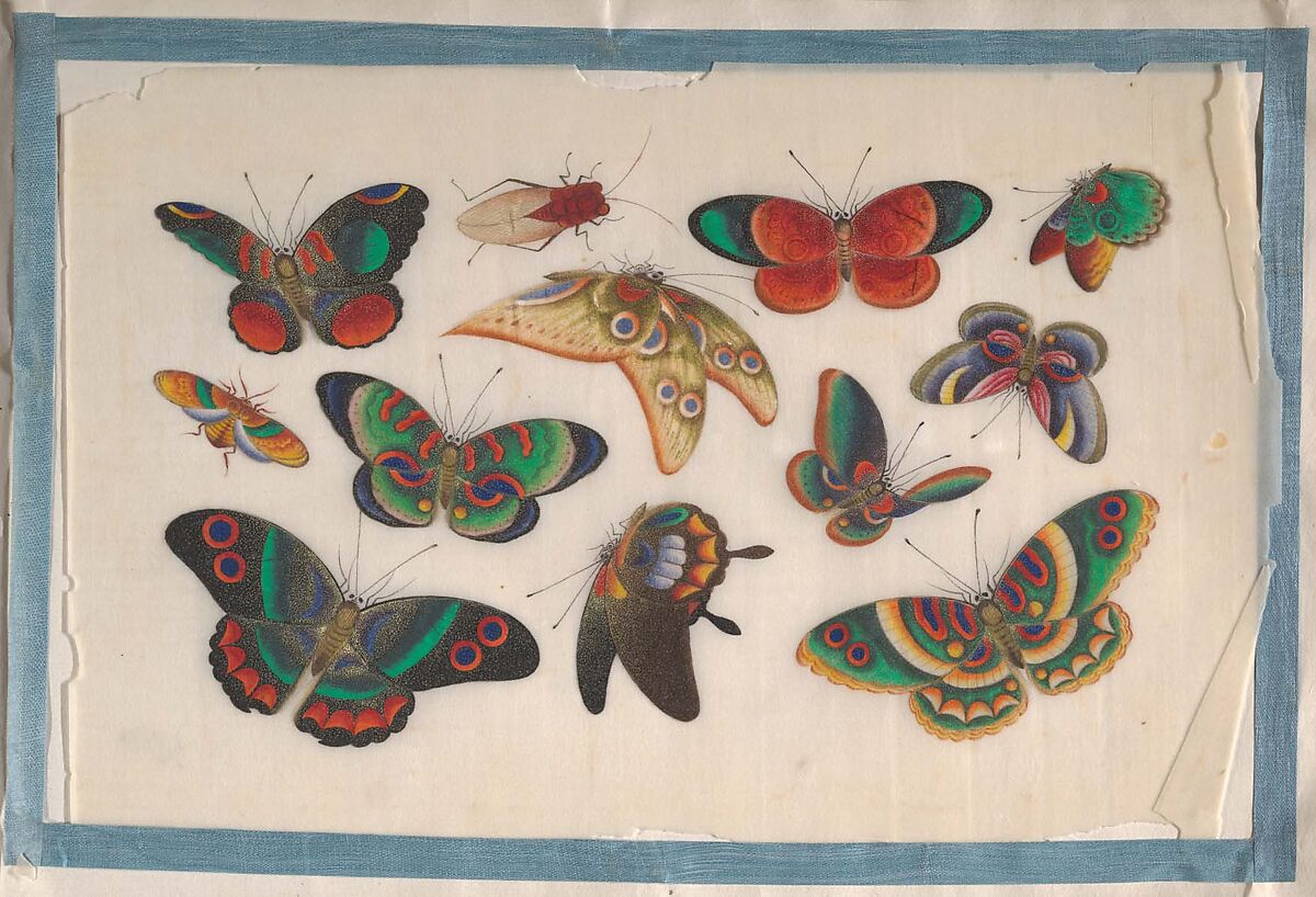 Album Containing Twelve Paintings of Insects, Unidentified artist, Album of twelve leaves; color on pith paper, China